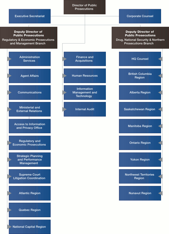 Organizational Structure graphic