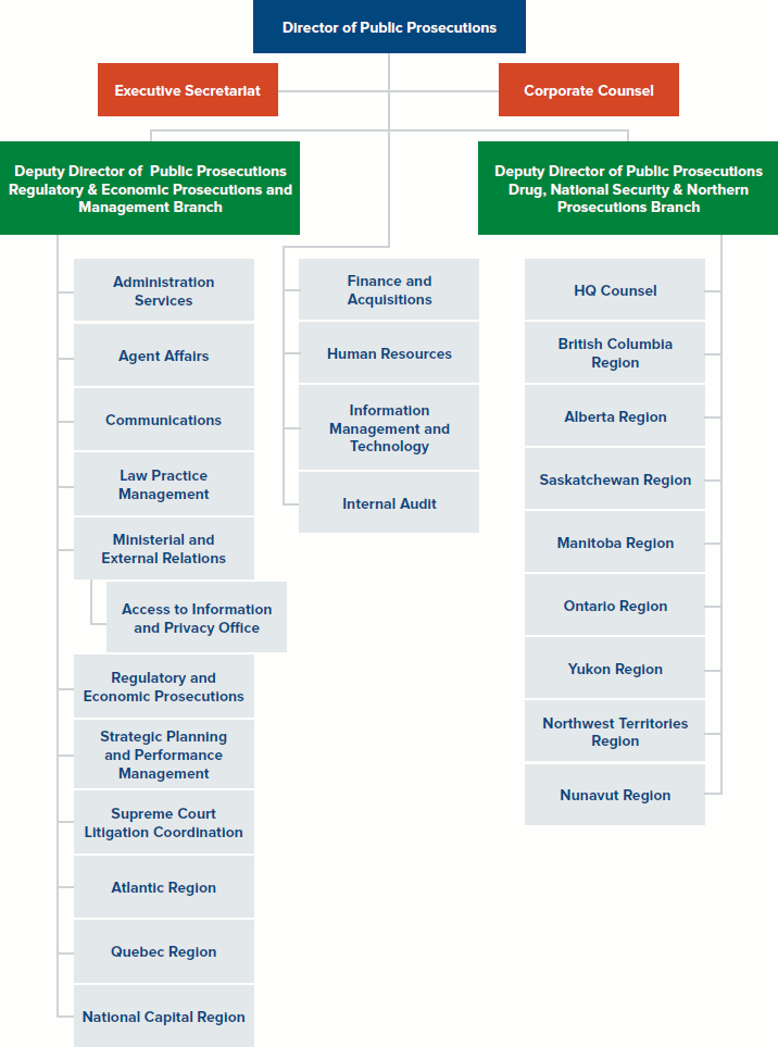 Organizational Structure graphic