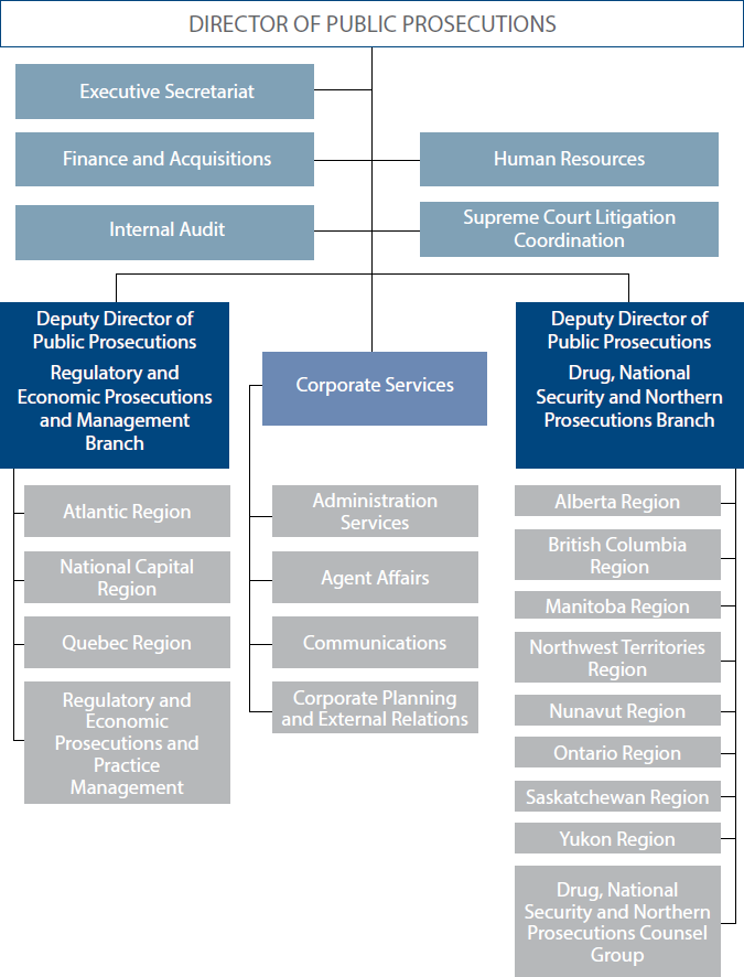 Organizational Structure graphic
