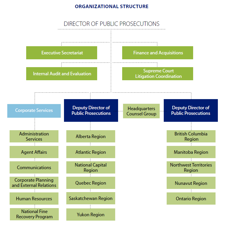 Organizational Structure graphic