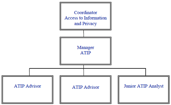 Organizational Structure