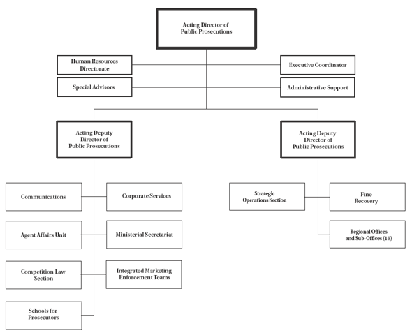 Chart of Interim Organizational Structure